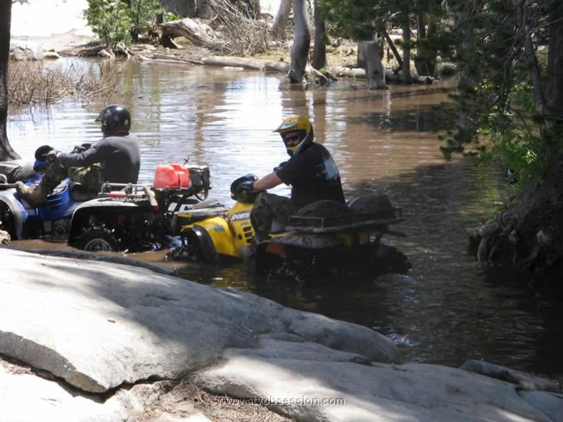 61. Larry gets unstuck from his underwater rock..jpg