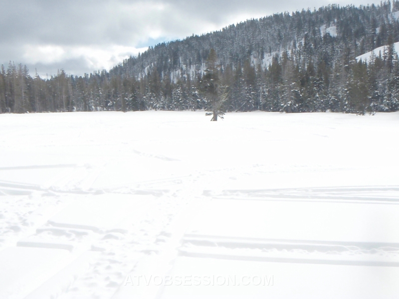 36. Frozen solid..jpg