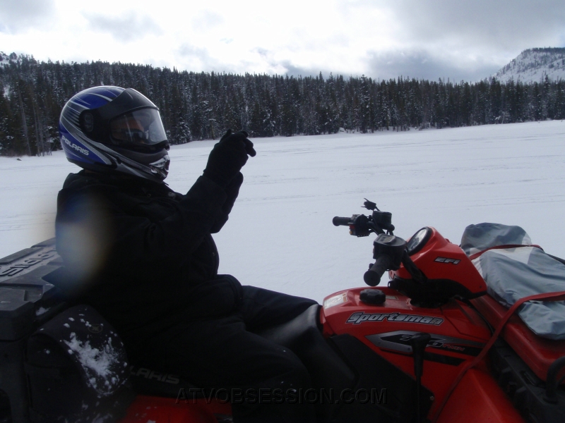 39. Jack buzzing around..jpg