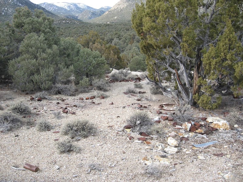 053. Ok..I understand..they had no trash service...but could they make 1 pile....jpg