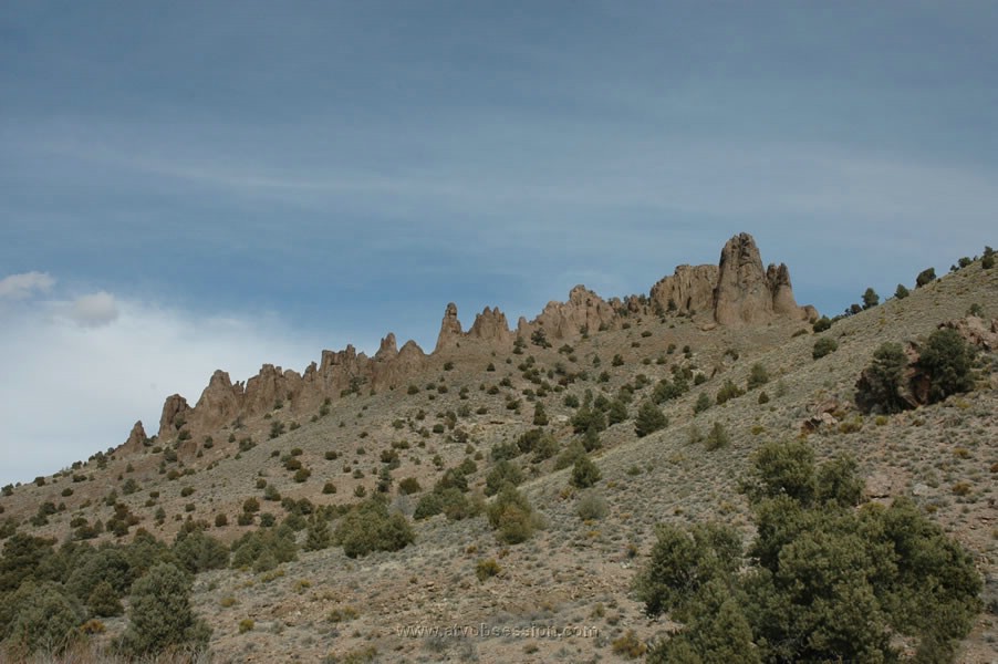 128. Ansel Larry strikes again..jpg