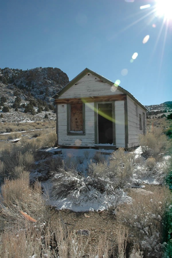 270. This one is hanging tough..jpg