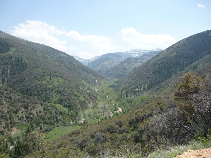 51.Are we there yet...NOPE.jpg