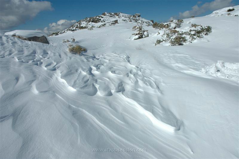 063. Larry with more attempts for some sort of photo award..jpg