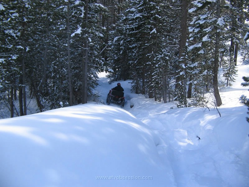 085. Enjoying the fluff..jpg