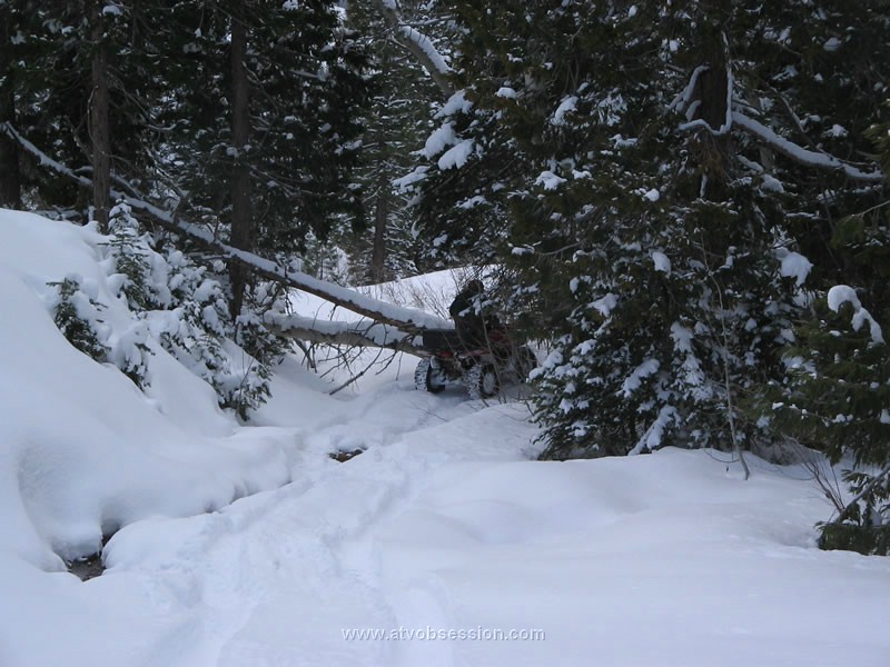 091. We got thwarted by a tree..jpg