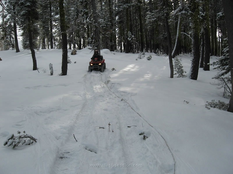 66. Larry positions himself for the pulling party..jpg