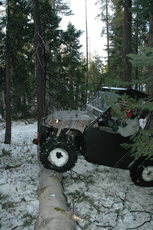 67. Emily's On It this Time..jpg