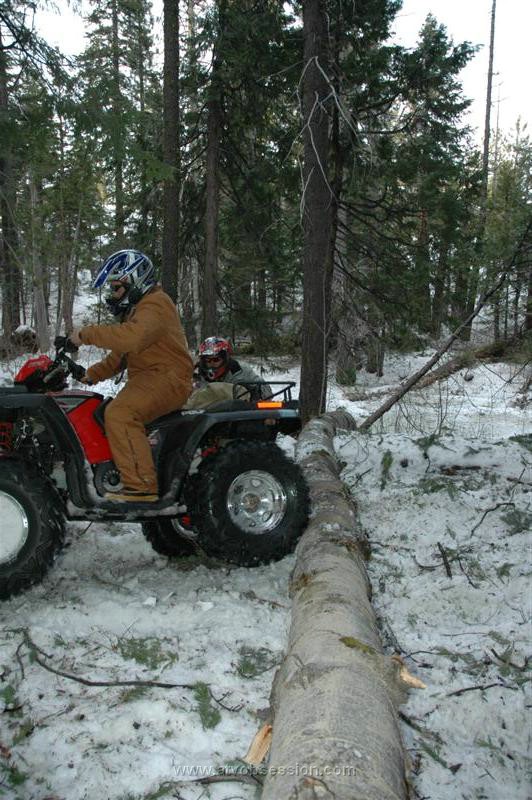 75. And Literally Flies Over Screaming.....jpg